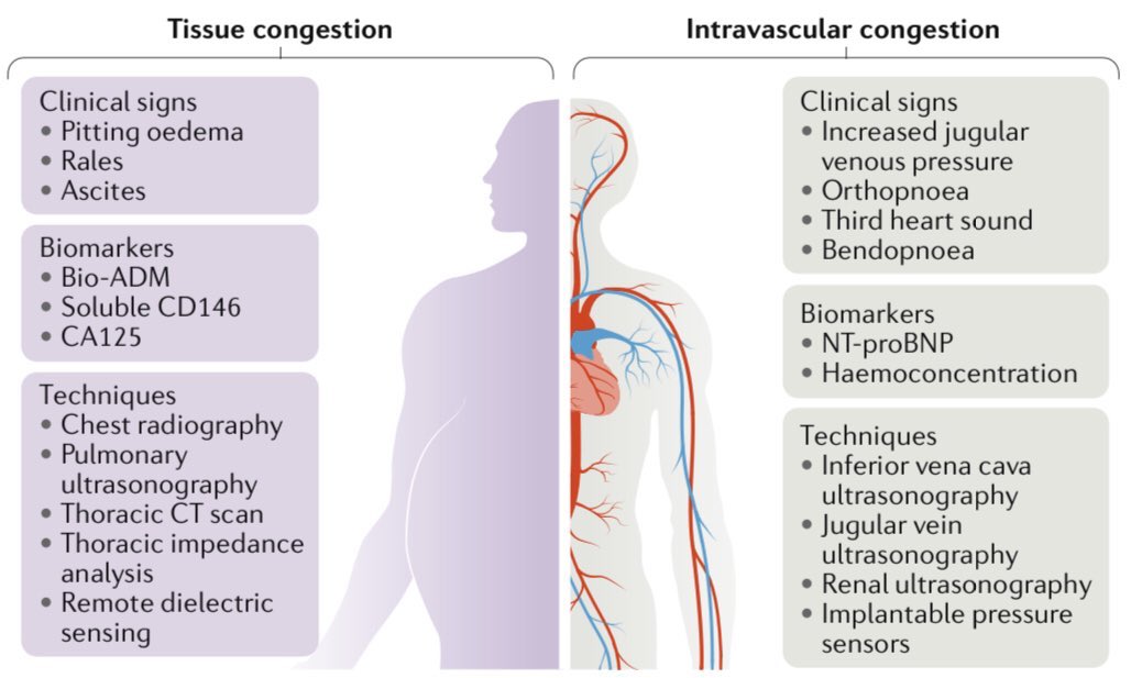 Congestión: manejo  Protocolo para el manejo de la congestión persistente  @IcUnidad  http://congestionguilty.com&nbsp; Revisión  @NatRevCardiol  10.1038/s41569-020-0379-7