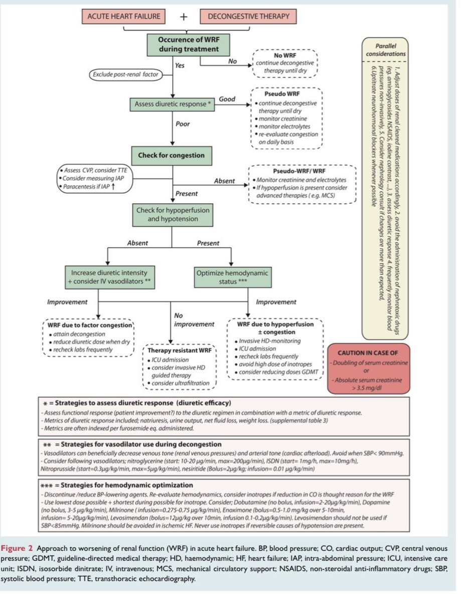  Función renal en la evolución de la IC Concepto “pseudoempeoramiento” de la FR en ICA e inicio bloqueo neurohormonal Medición Na urinario para valorar respuesta diurética  doi:10.1002/ejhf.1697