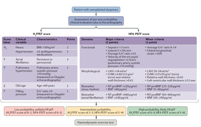  Y por último, revisiones que no debes perderte  FEVI reducida  @JAMACardio  doi:10.1001/jama.2020.10262 FEVI preservada  @NatRevCardiol  DOI: 10.1038/s41569-020-0363-2FEVI recuperada  @JACCJournals   http://doi.org/10.1016/j.jacc.2020.05.075