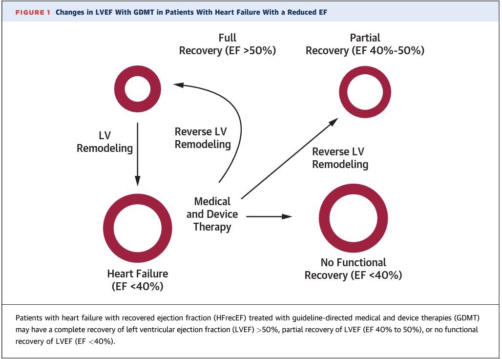 Y por último, revisiones que no debes perderte  FEVI reducida  @JAMACardio  doi:10.1001/jama.2020.10262 FEVI preservada  @NatRevCardiol  DOI: 10.1038/s41569-020-0363-2FEVI recuperada  @JACCJournals   http://doi.org/10.1016/j.jacc.2020.05.075