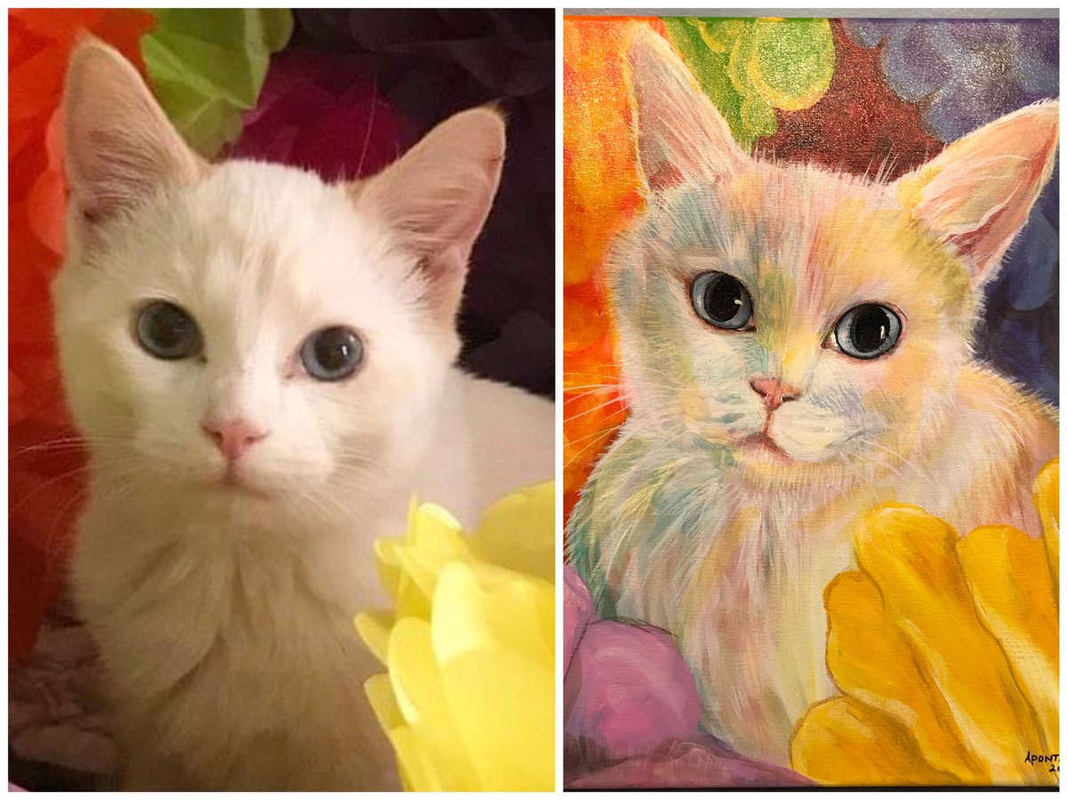 JOSHUANAPONTE's tweet photo. My friend has 3 Pussies and I painted them to celebrate his bday... happy Bday #circuitson https://t.co/hgyALUmUJF