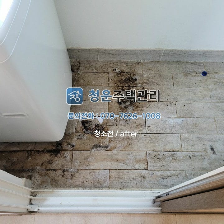 norau4062's tweet photo. #대전이사청소 #청소대행 #입주청소
청소문의 : 070-7626-1008 https://t.co/AelhxS3HYc