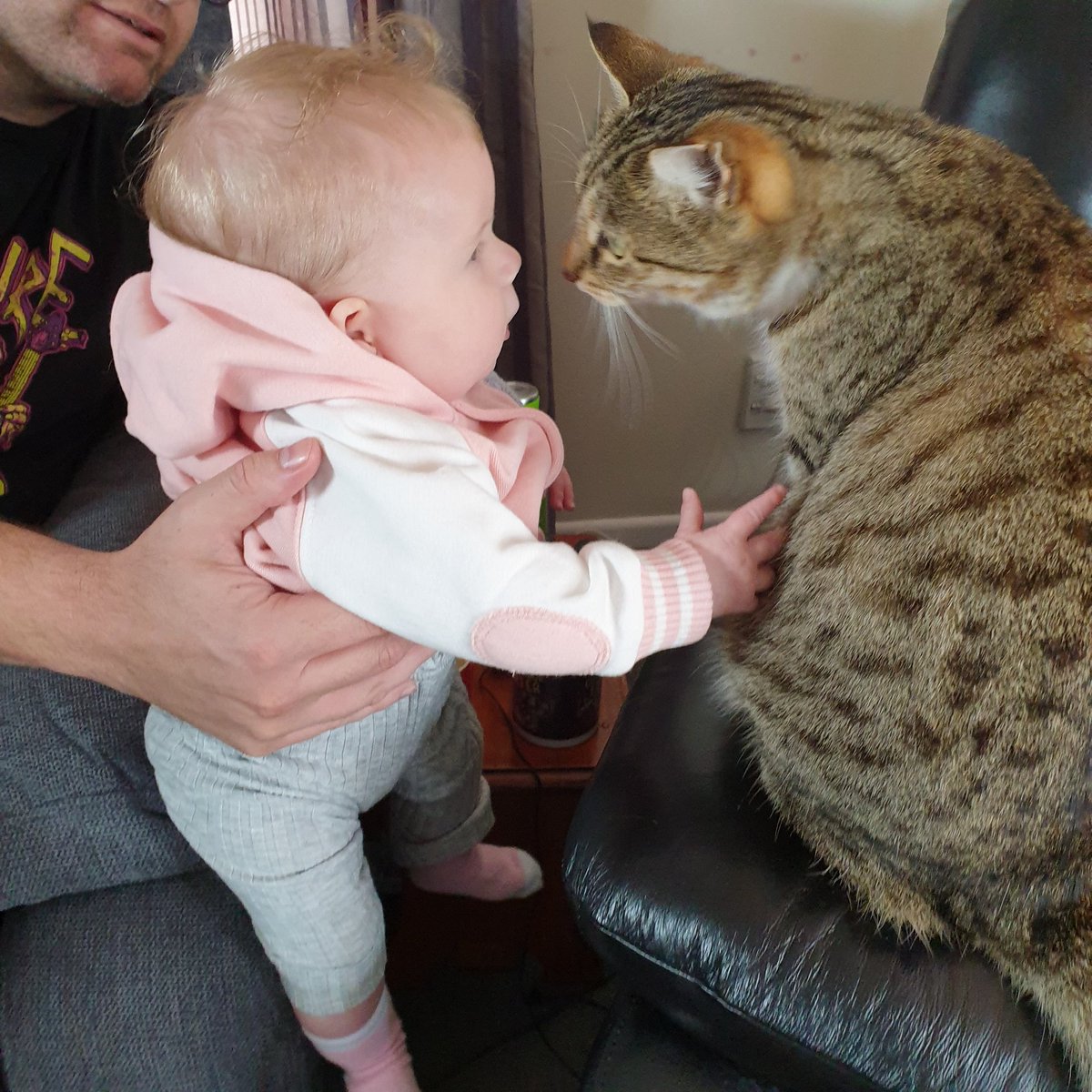 Turns out the 4 month sleep regression is a sweet time to play #TESLegends... Why not, if you're up every 1-2hrs all night?

Entered Legend super low rank because of too many games mucking around with Dragonstar and SoS 😬

Bonus picture of small orc loving her khajiit