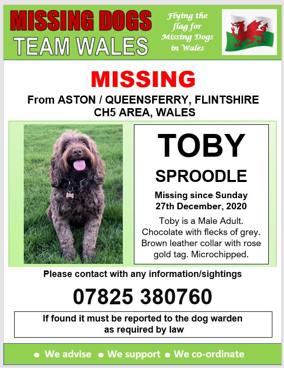 #Toby missing #27/12/2020 #Aston #Queensferry #Deeside #CH5 area #NorthWales <a href="/OddbinsQstreet/">Oddbins Queensferry</a> <a href="/qferryambition/">Queensferry Ambition</a> <a href="/NQueensferryPS/">North Queensferry PS</a> <a href="/qferrysports/">Queensferry Sports</a> <a href="/radiodeeside/">Radio Deeside</a> <a href="/DeesideDotCom/">DEESIDE.com</a> <a href="/DeesidePhoenix/">DeesidePhoenix</a> <a href="/DeesideTable/">DeesideRoundTable</a> <a href="/DeesideRT/">Deeside Round Table</a> <a href="/Deeside_Piper/">Deeside Piper</a> @mawddachdrone