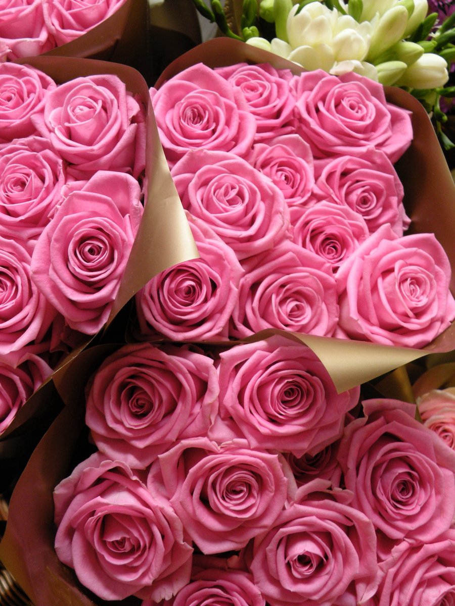 CookingItaly's tweet image. Writing, Reading &amp;amp; Flower Power kind of Day