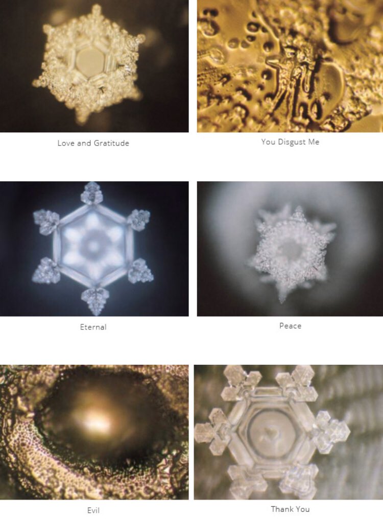 Dr. Masaru Emoto has made tremendous discoveries with the molecular structure of water when introduced to certain frequencies.We are electric and plasma beings that respond to the vibrations around us. DISease is the bodies response to DISharmony