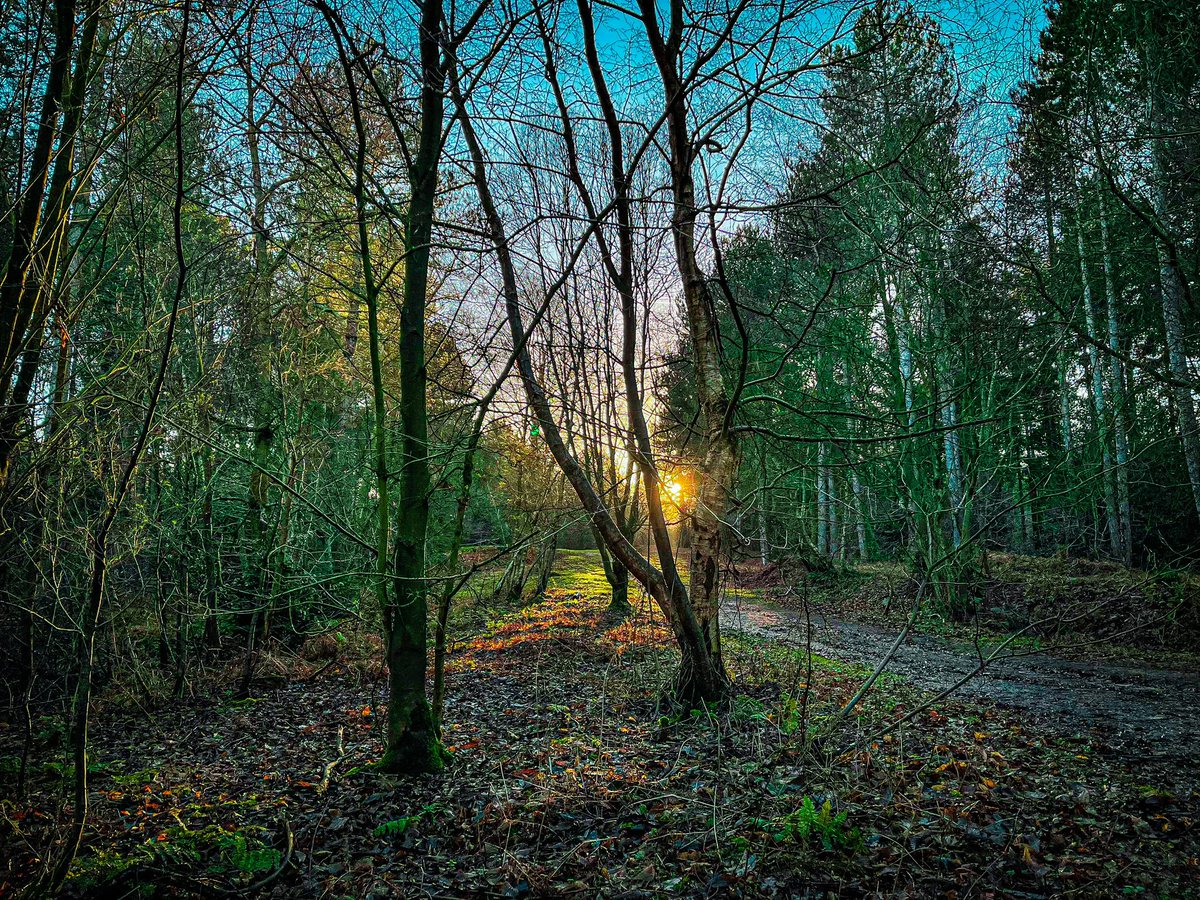 htafcmillennial's tweet photo. Beautiful day after the terrible rain and wind. Here is my snap of sunset in the forest 🌅🌳🦌
@ThePhotoHour @LensAreLive @metoffice @BBCWthrWatchers @BBCLookEast @NorthNorfolk @visitnorfolk @itvweather @StormHour
#sheringham #norfolk #prettycorner #shotoniphone https://t.co/fXnPCk0XYF