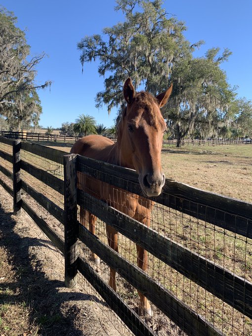 Leonardo https://t.co/6QFJmUvqNe