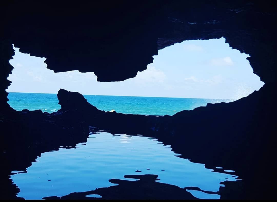 TheHolConcierge's tweet photo. @Barbados Animal Flower Cave 🤩 one of our favourite spots 🇧🇧 https://t.co/aNO9LsqYgf