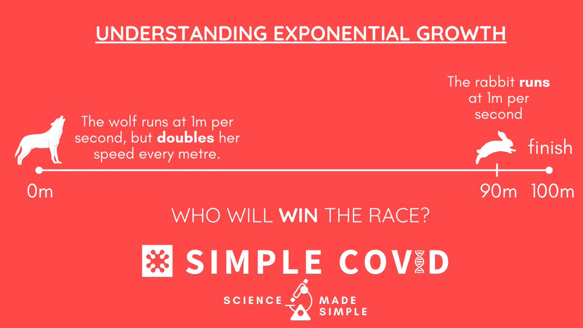 SimpleCovid's tweet photo. Understanding exponential growth:

A race is held between a wolf and a rabbit.

The rabbit runs at 1m per second, and has nearly won when the wolf starts.

The wolf runs at 1m per second, but doubles her speed every metre.

Who will win? | Poll below 👇
https://t.co/tIeVF3TEwx https://t.co/2AWpB4Ugxi