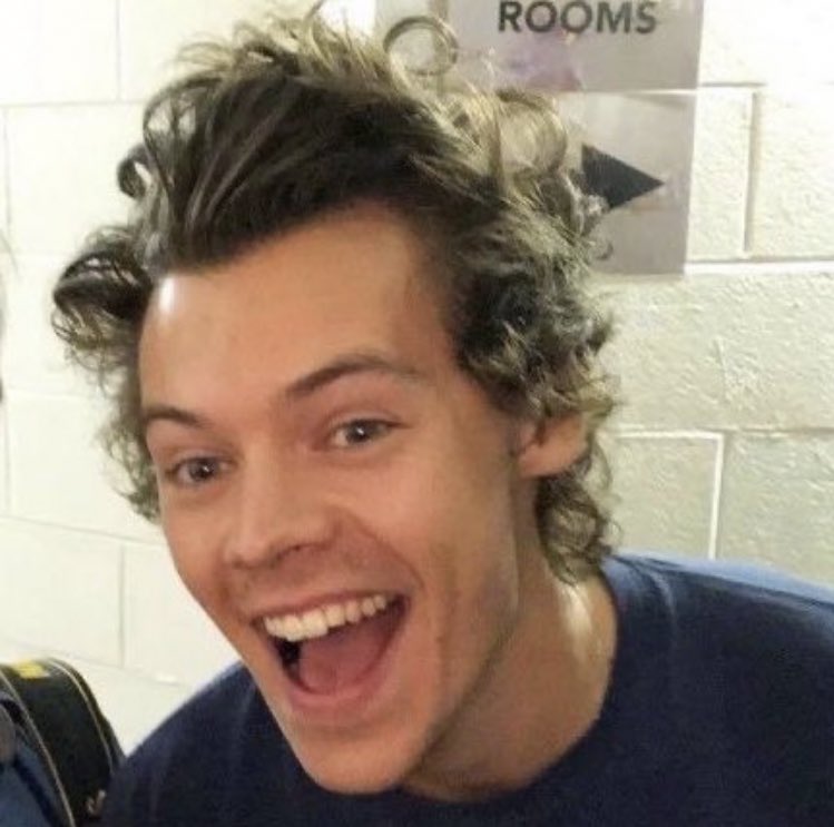 harry styles :Da thread