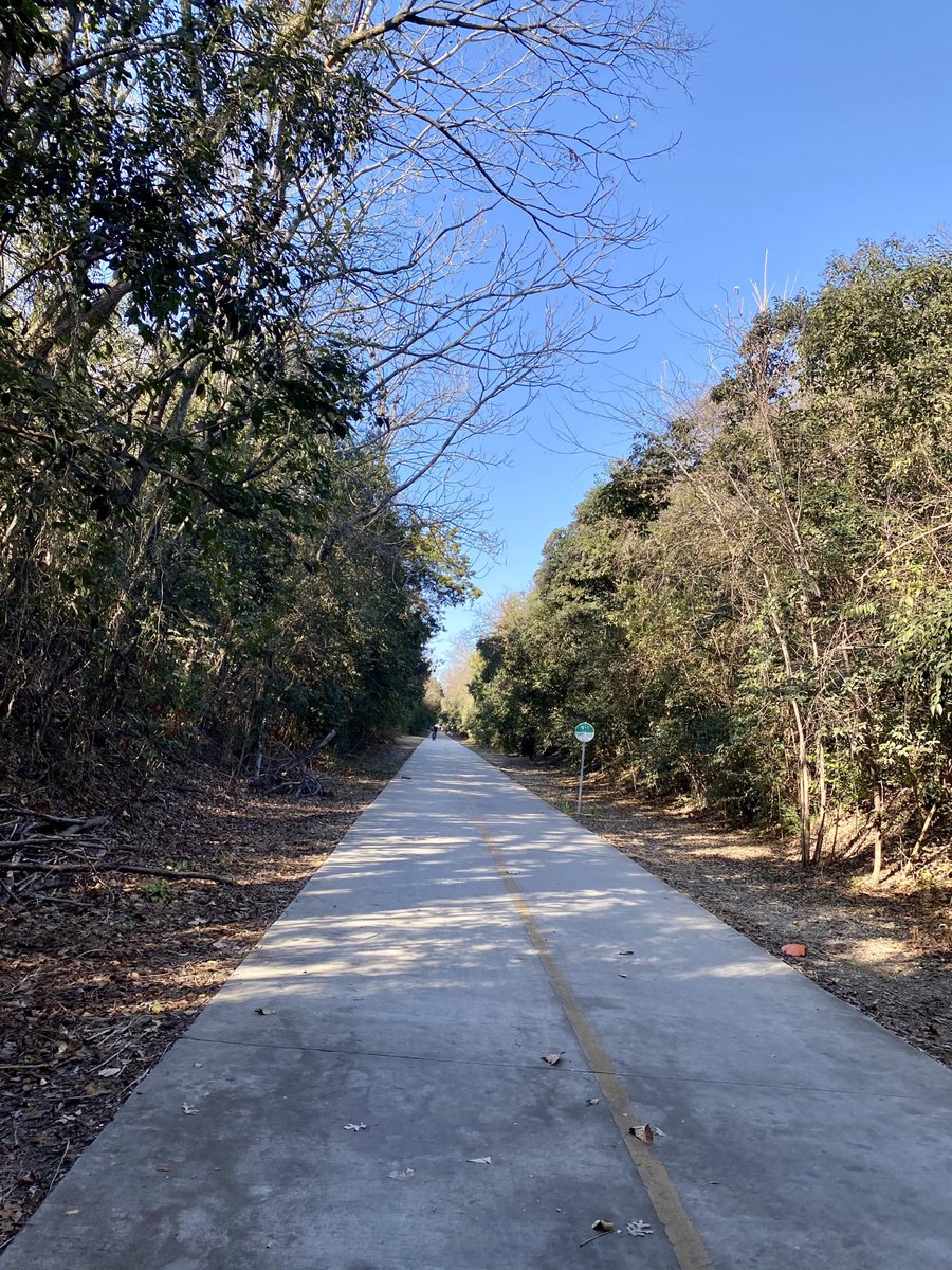 Miss Sanz tweet media