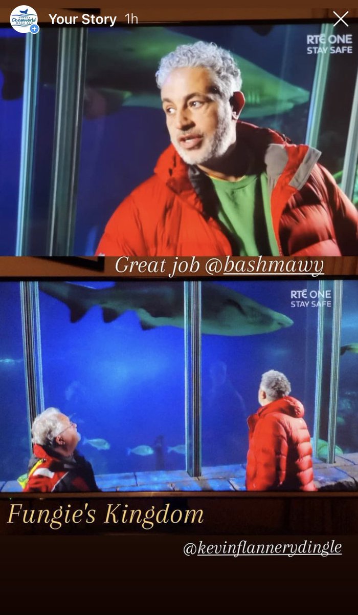 Oceanworld Aquarium tweet media