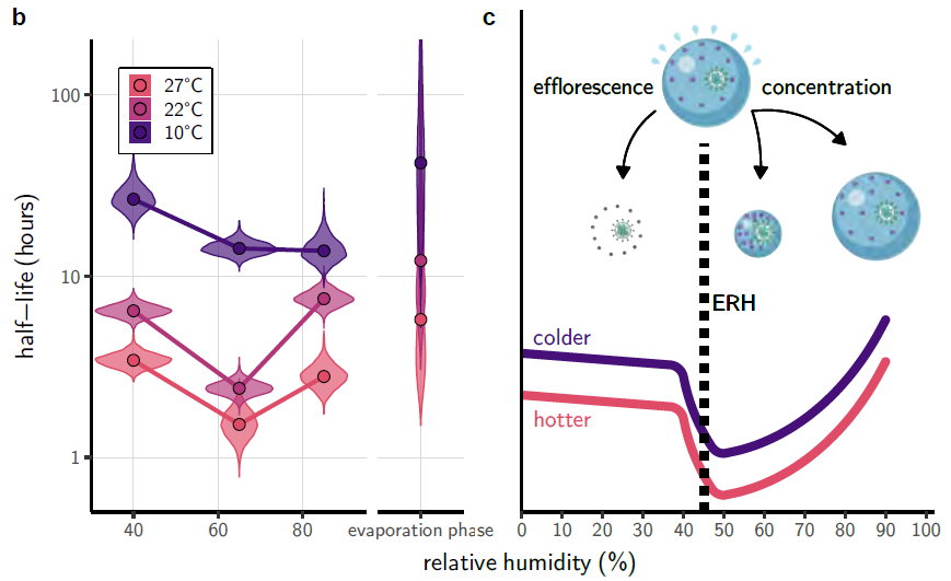SARS-CoV-2 shows the classic U-shaped relationship between viability and RH that we see with most enveloped viruses in culture media.  https://www.biorxiv.org/content/10.1101/2020.10.16.341883v3 with  @dylanhmorris  @amandinegamble  @qishenhuang  @petervikesland Munster Lloyd-Smith others /6