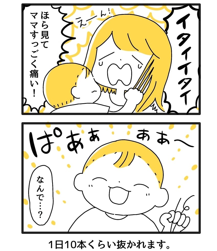 冷静にだめだよと言うのが正解らしいです!

#育児漫画 #育児絵日記 
#ごーごーこーちゃん
#0歳6か月 