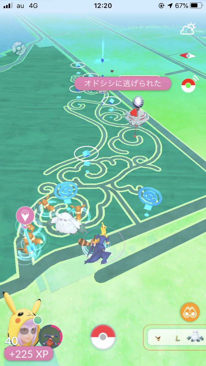 Go 巣 ポケモン