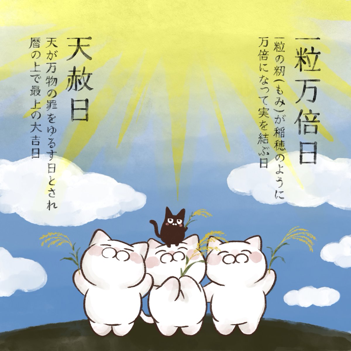 大和猫 本日1月16日は 一粒万倍日 と 天赦日 の2つが重なる縁起の良い日 大和猫 本日1月16日は 一粒万倍日 と 天赦日 の2つが重なる縁起の良い日