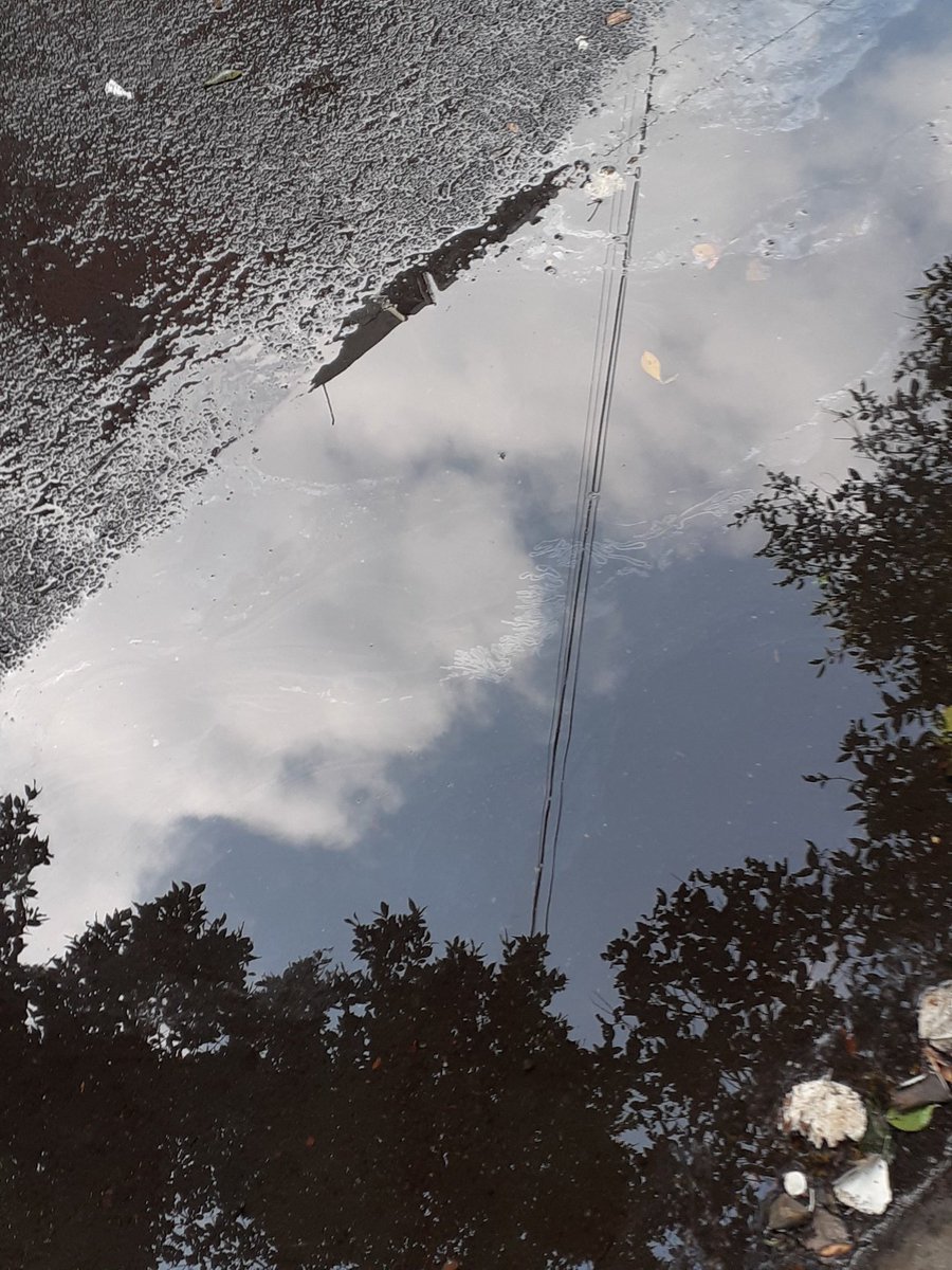 ANABELM5's tweet photo. @BJcomunidaad buenas noches el día de hoy me percaté que hay una gran fuga de agua en la calle de Rumanía enfrente del No 906 está entre eje 8 sur y Pirineos https://t.co/rQmtkMsKR4