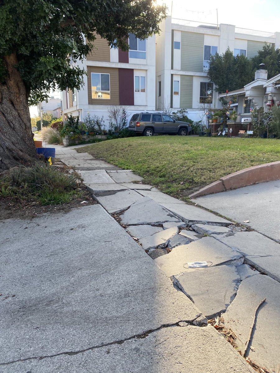 kaitlinparker's tweet photo. Love to push a stroller on LA sidewalks. https://t.co/q2G5Ld26Bs