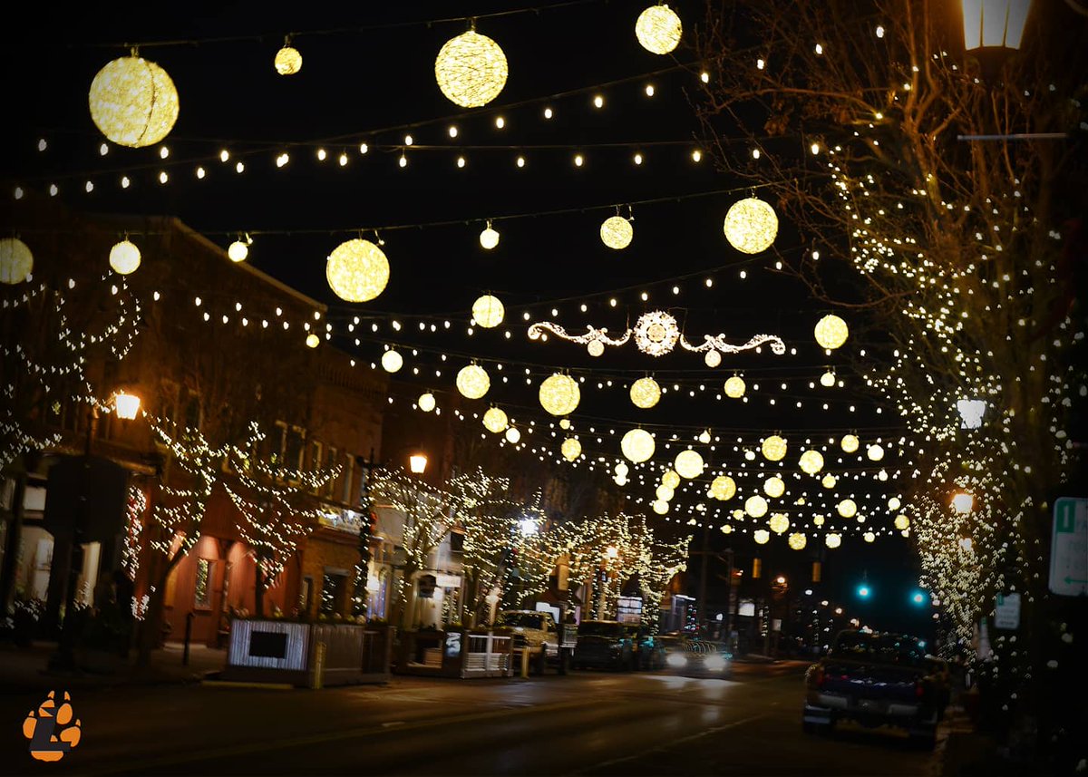 LourdesXCTF's tweet photo. Hands Down Sylvania takes the Award for Best Downtown! π
#Homeofthewolves
#sylvaniaohio
#GrayWolfNation
#runningwiththewolves https://t.co/KhcZNRXvlB