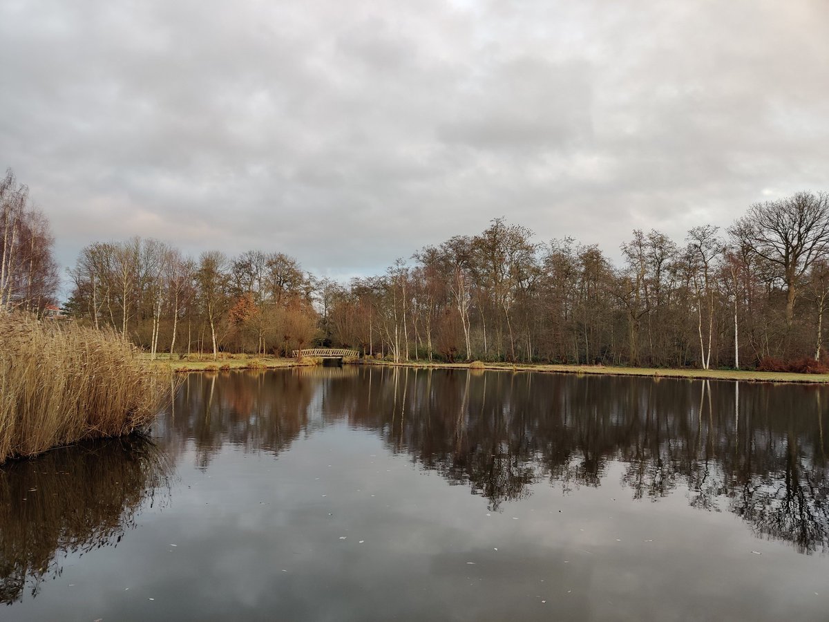 Onderweg #nature #park #winter #trees #pond #water #sky #photo