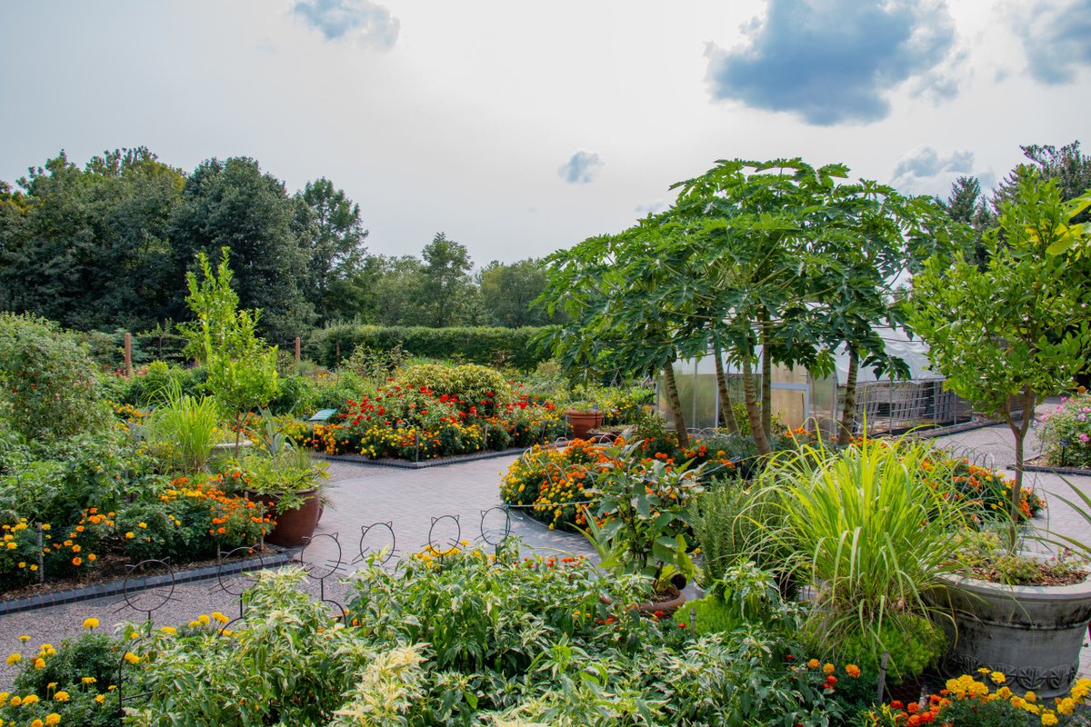 Missouri Botanical Garden Kemper Center Visit The Center
