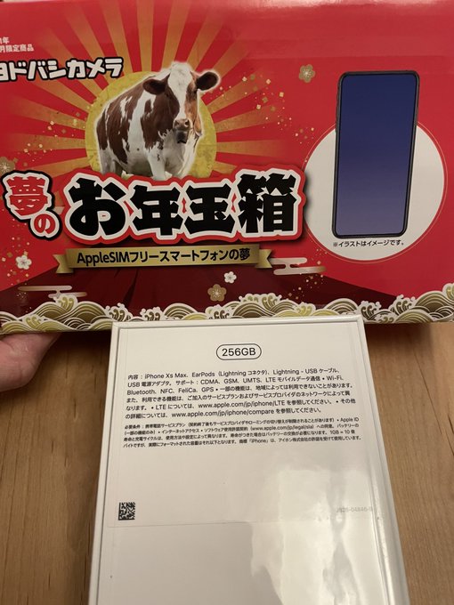 ヨドバシカメラ 夢のお年玉箱 Apple SIMフリー iPhone XSMax