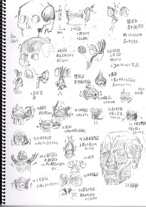 朝イチstudying 