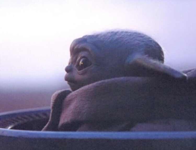 — maggie lawson as baby yoda: a thread