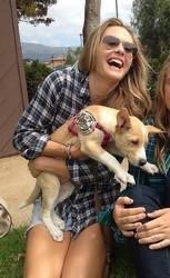 — maggie lawson as baby yoda: a thread