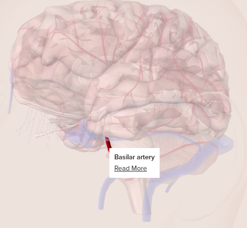 Vic Shar tweet media
