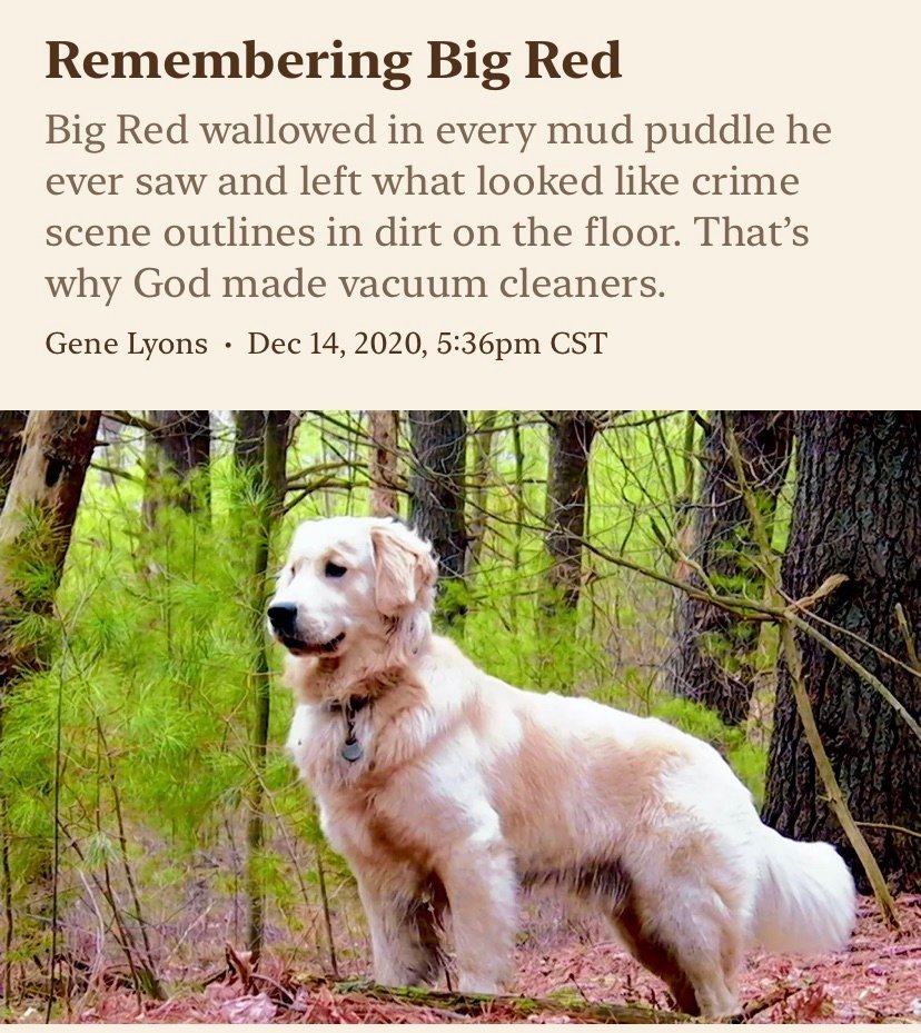 Ole Red reminds me of that time USSS gave Santa security detail. OR, that other time Evergreen met a dog named Big Red when she out for a stroll. OHHH...Member? He was a retriever too! Just like the pup in the video Dan shared. SOO CUTE! https://chicago.suntimes.com/columnists/2020/12/14/22166311/dogs-pets-golden-retrievers-big-red-gene-lyons