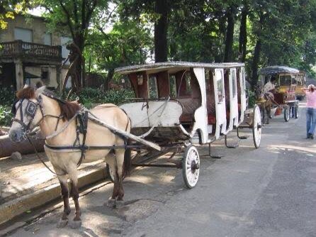 Kalesa ( a ride with a horse )