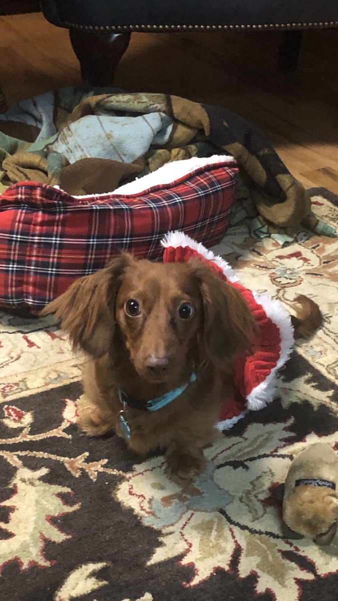 Deborah Ottaway tweet media