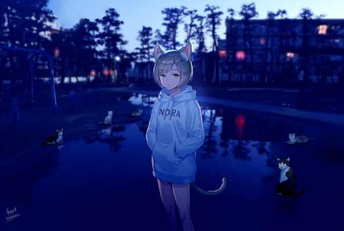 野良猫がいた
Cats 