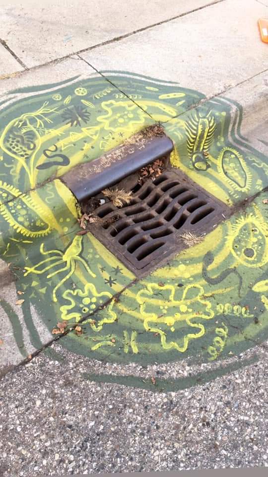 #stormwater needs more attention. #environment