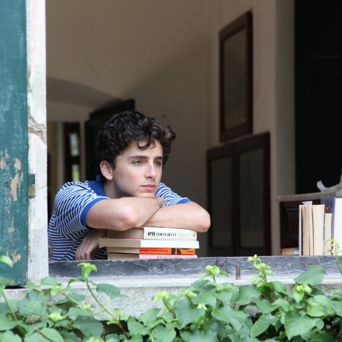Timothée Chalamet as Elio Perlman in "Call Me By Your Name" (2017), directed by Luca Guadagnino