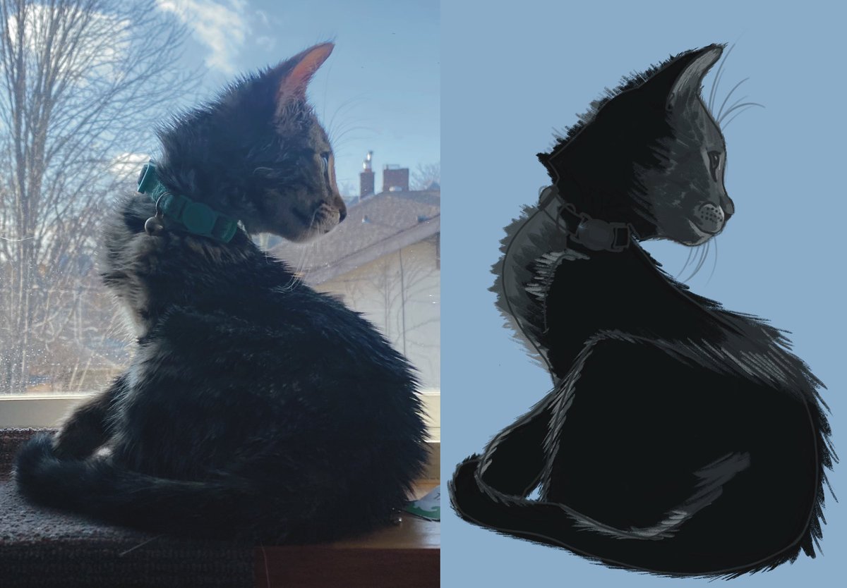 NoFoxCreate's tweet image. Shadow studies of Arsha. 

It’s interesting to put them side by side once finished to see which proportions are spot on and which need to change! Overall quite proud of the freehand studies