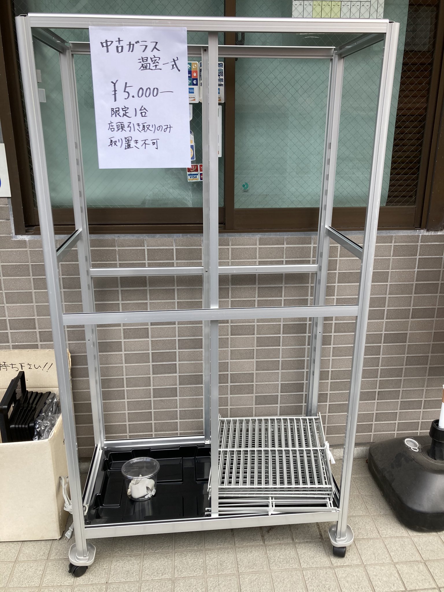 ドルクスグッズ』クワガタ・カブトムシ専門店 on X: 