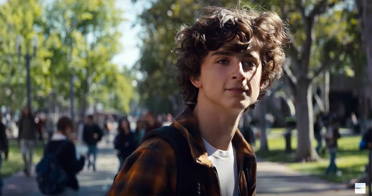 Timothée Chalamet as Nicolas (Nic) Sheff in "Beautiful Boy" (2018), directed by Felix Van Groeningen