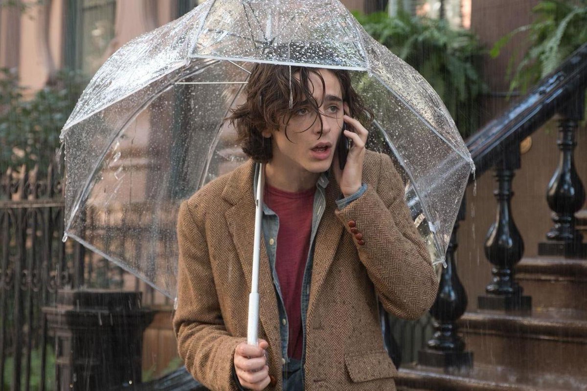 Timothée Chalamet as Gatsby Welles in "A Rainy Day In New York" (2019), directed by Woody Allen