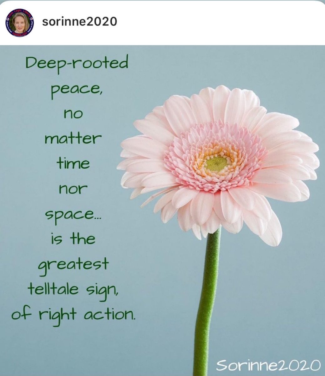 Sorinne2020's tweet image. Deep-rooted peace, no matter time nor space... is the greatest telltale sign, of right action. 

#Peace #ReapWhatYouSow #RightAction #PathOfAttainment #EvolutionOfConsciousness #LoveLogicLiberty #Sorinne2020 #HealerInChief