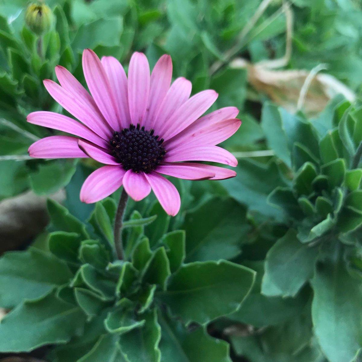 三浦半島の風工房 T Co Wtdwwb4pkw