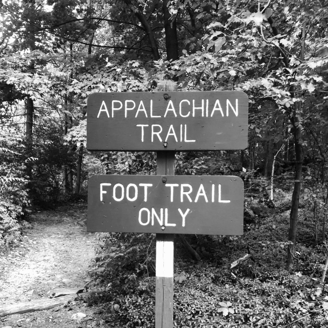 RVAHikerGirl's tweet image. What is about this trail? Magic perhaps? When you just can’t stop thinking about it, you got it bad!

#trailmagic
#longtrail
#AppalachianTrail