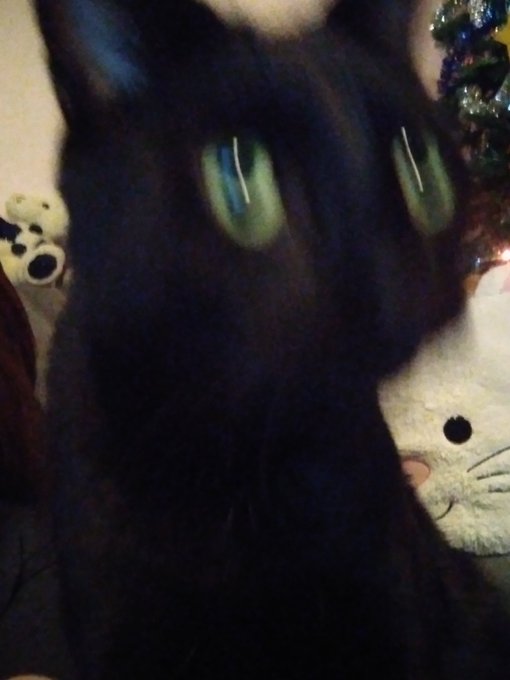 @nonexistentcj I never talk or otherwise interact with you, but my cat Taz is here for you. Also this<a class="tags" target="_blank" title="On Twitter" href="/?out=eyJ0eXAiOiJKV1QiLCJhbGciOiJIUzUxMiJ9.eyJpYXQiOjE3MjY4MTU1ODcsImlzcyI6InR3cG9ybnN0YXJzLmNvbSIsIm5iZiI6MTcyNjgxNTU4NywiZXhwIjoxNzU4MzUxNTg3LCJyZWRpcmVjdF91cmwiOiJodHRwczovL3R3aXR0ZXIuY29tL25vbmV4aXN0ZW50Y2oifQ.TnxGz4f4PugAq3flWAw8P9kNzI4PQUo00_yfwYeVzDtVmyvLlQ2y_5BfRb6PA0r0jf8HnYkeGZrRcmLD3-tdQA">@nonexistentcj</a>