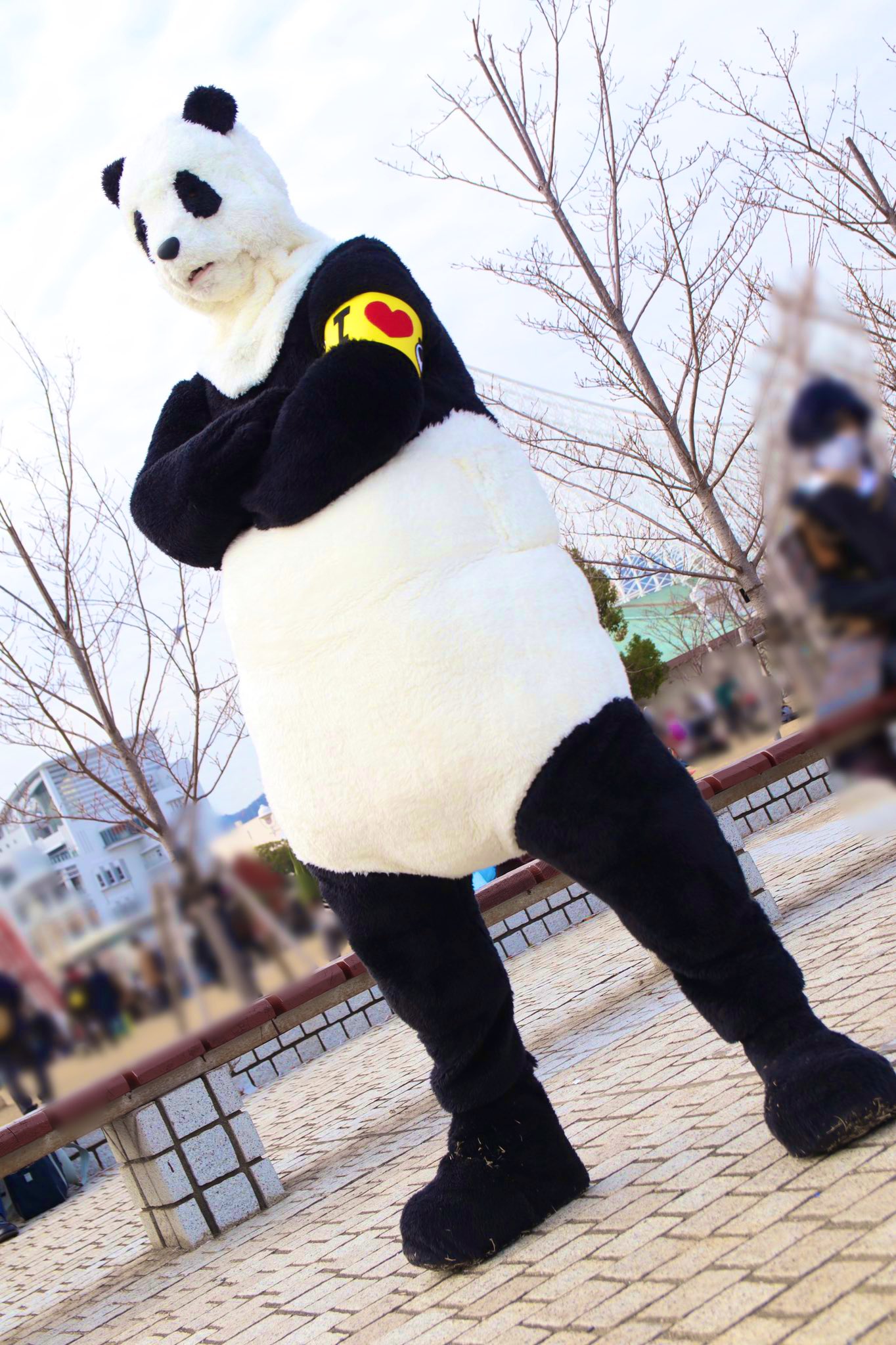 パンダの着ぐるみ、コスプレ、呪術迴戦など