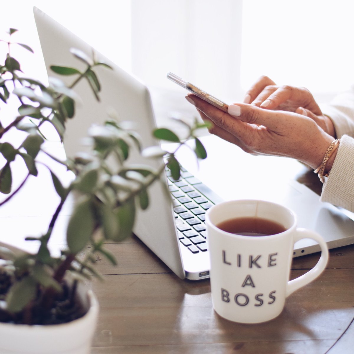 🌟 Your customer’s happiness (aka satisfaction) is our #1 priority. Social customer care is where you can really shine online. It’s time to hit reply—and we can help. wahinemedia.com/social-media-m…