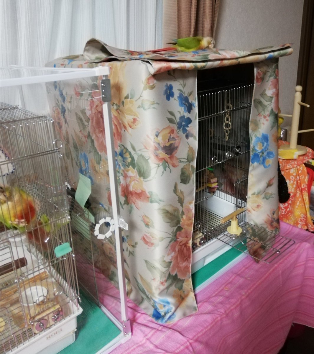 ケージカバー　mods306様 ケージカバーmods306様