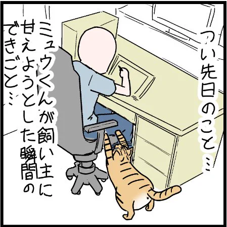 ミュウくんの猫詐称疑惑がますます強まった・・・w#にゃんこ #まんが #マンガ #4コマ漫画 #四コマ漫画 #猫 #ねこ部 #ねこ #猫あるある #猫漫画 #ペット #飼い主 #ニャンスタグラム #ねこらぶ #エッセイ漫画 #みんねこ #キャット #ねこのいる生活 #猫ばか #にゃんだふるらいふ 