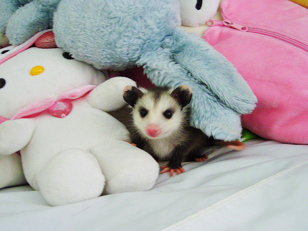 so fuckinig cute oh my god